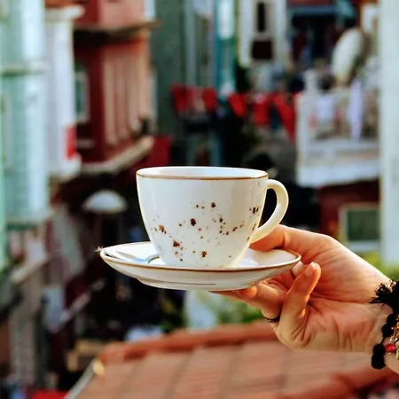 Bed and breakfast Zeytin Agaci 3*