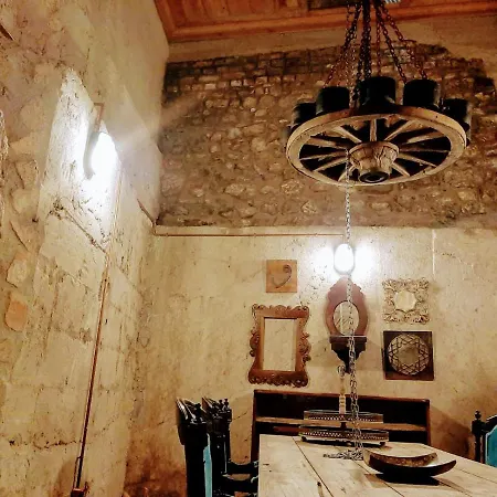 Zeytin Agaci Estambul