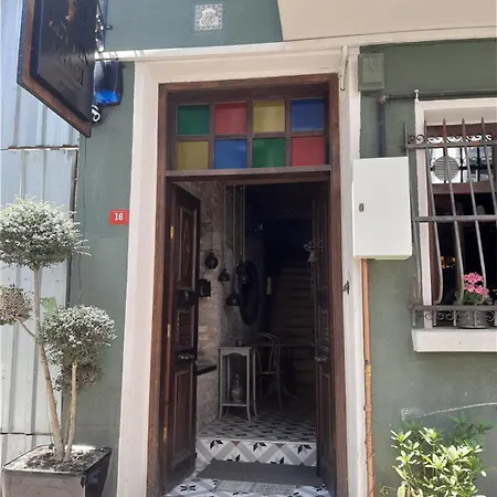 Zeytin Agaci Estambul