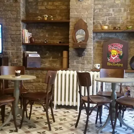 Zeytin Agaci Estambul