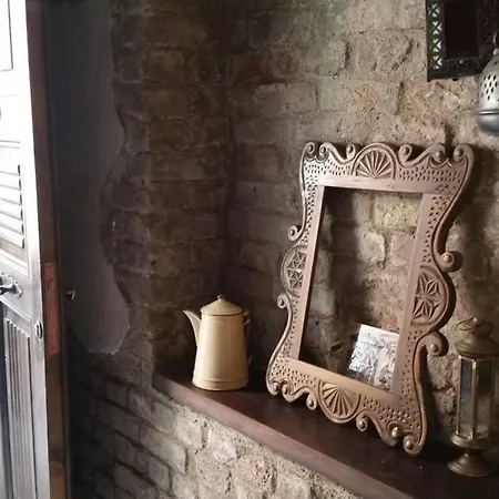 Zeytin Agaci Estambul