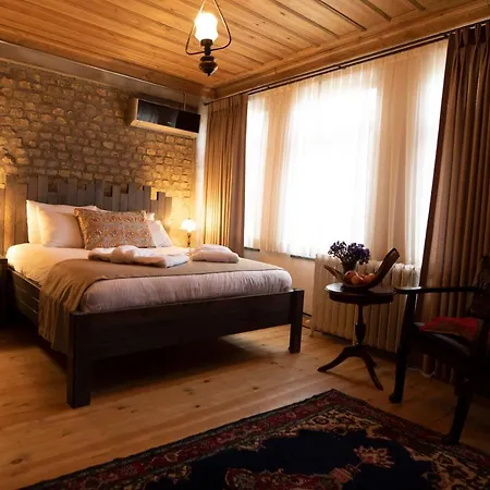 Zeytin Agaci Estambul