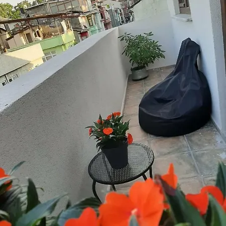 Zeytin Ağacı Oda ve Kahvaltı İstanbul