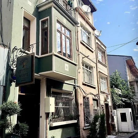 Zeytin Ağacı 3*