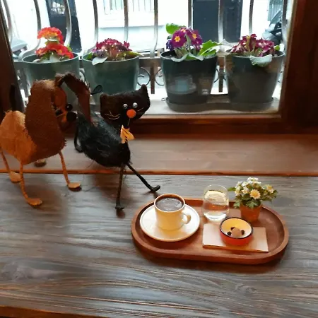 Zeytin Ağacı İstanbul
