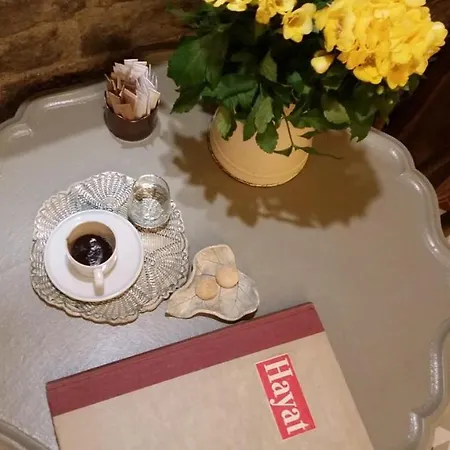 Oda ve Kahvaltı Zeytin Ağacı İstanbul