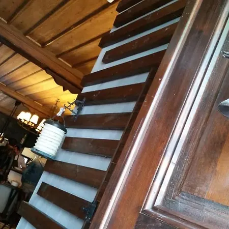 Zeytin Ağacı 3* İstanbul