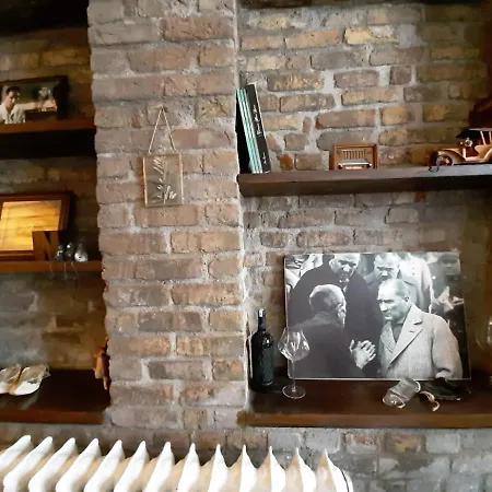 Zeytin Ağacı