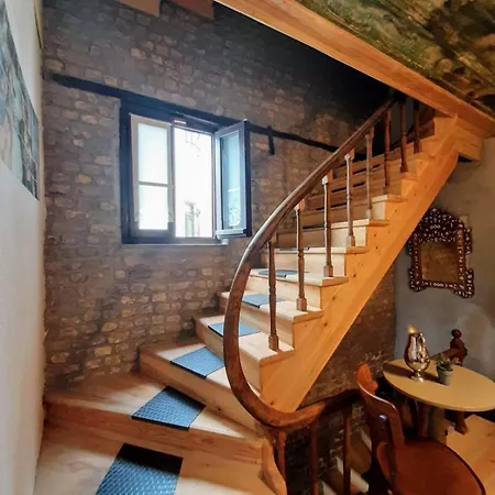 Zeytin Ağacı İstanbul