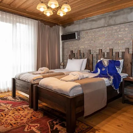 Zeytin Ağacı İstanbul